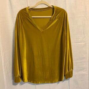 NWOT Large Velvet-like V-neck longsleeve top